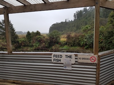 Photos of Salmon Farm Cafe