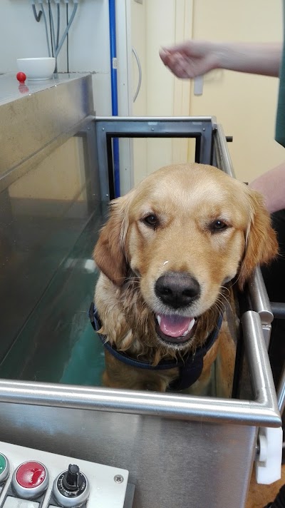 Photos of Star Clinic veterinarians West-Friesland