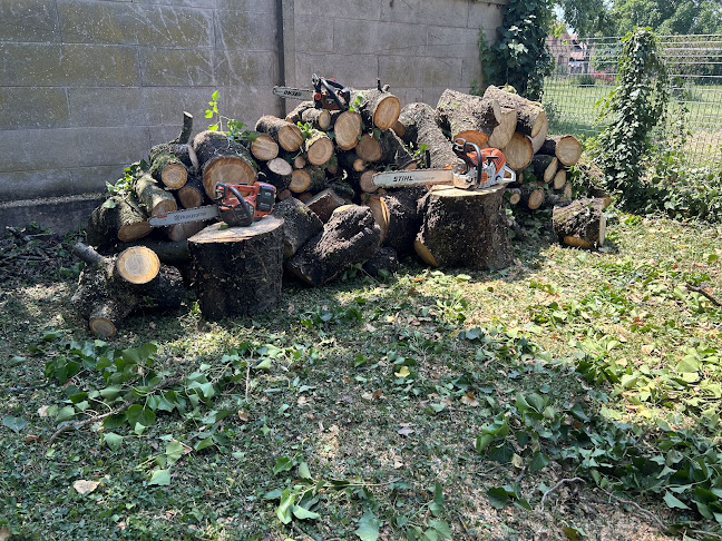 Commentaires et avis sur Habitation Jardin : Beck Espace Vert