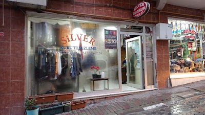 Silver Kuru Temizleme