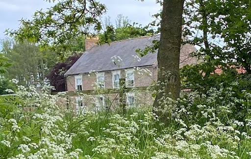 Elodhi Reflexology and Aromatherapy