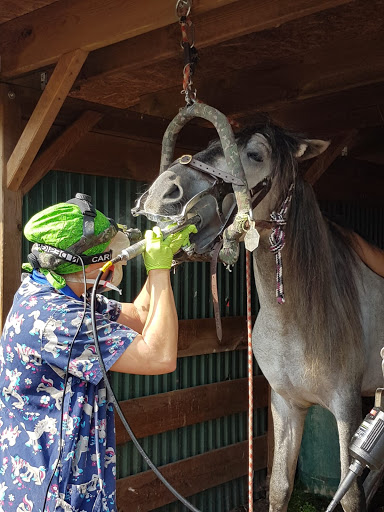Tierarztpraxis MedicalVet.Life - Thumbnail