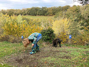 Photo n°56 de Camping des Combes à Felletin (Piscine)