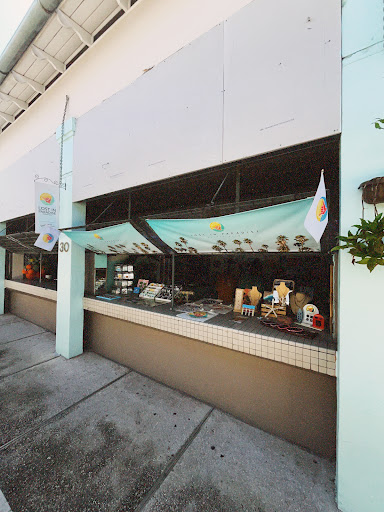 Puro Paradise Gallery - United States