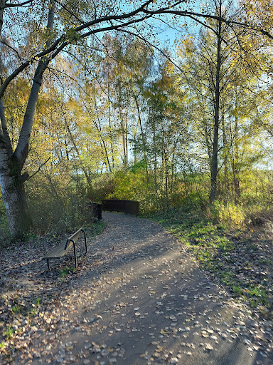 Leiselpark - Visual