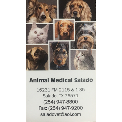 Animal Medical of Salado