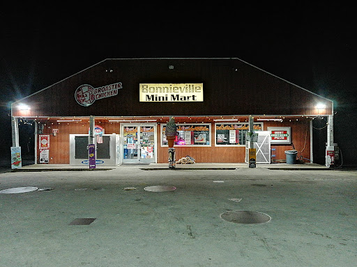 Bonnieville Mini Mart - Thumbnail