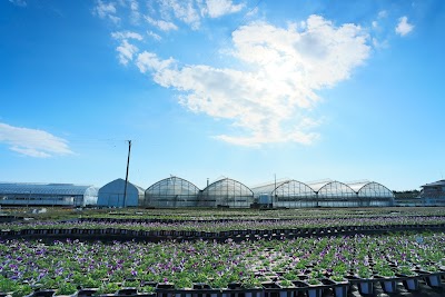見元園芸農場