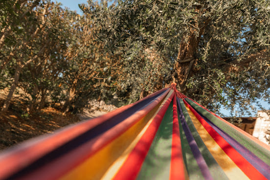 I Sette Coni by null