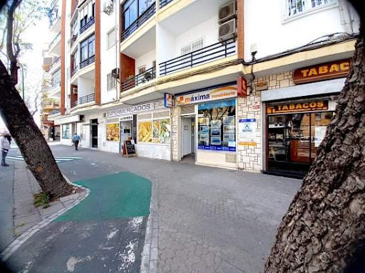 Maxima Inmobiliaria | Sevilla