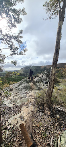 Pinnacle MTB Shuttles & Tours