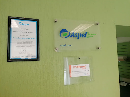 Acesa - Visual