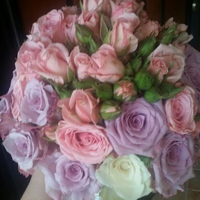 Malak Palace Haute Couture & SPA