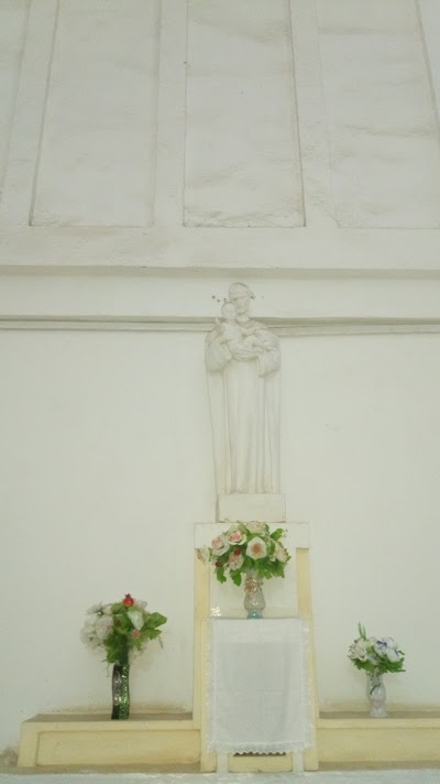 Photos of Cathedrale Tousaint