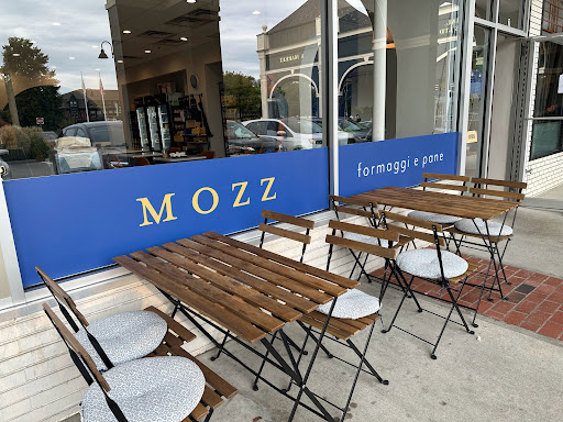 Mozz - Visual