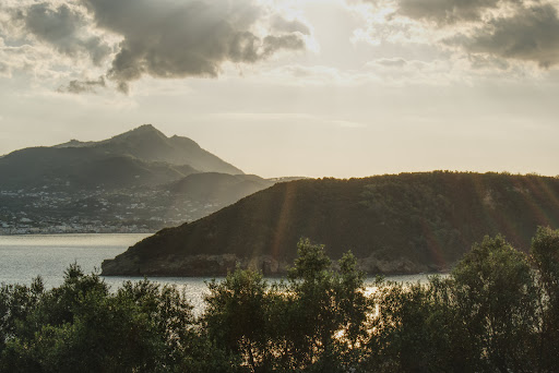 Procida Click - Visual