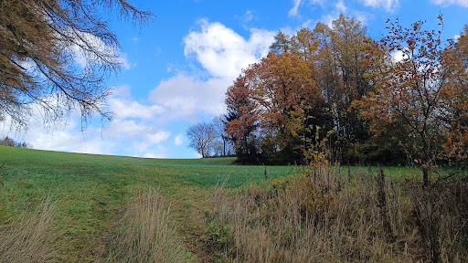 Friedhof Künsdorf - Visual