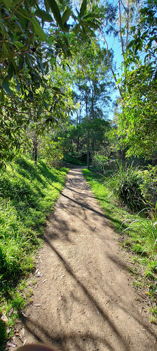 Willoughby Rd after Garland Rd Gallery - Australia