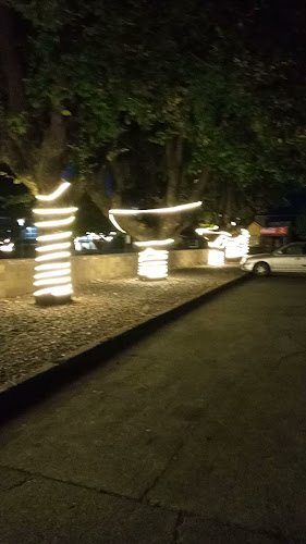 Plaza De Cholchol