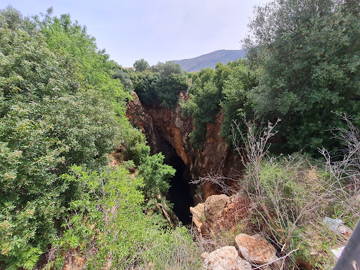 Clot del Lírio - Thumbnail