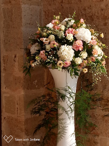 Fratelli Lazzaro - Visual