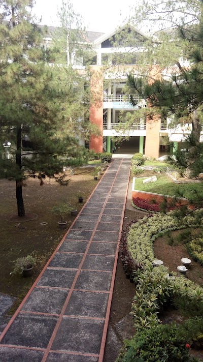 Photos of Taman Pinus atau Plaza Sukarno