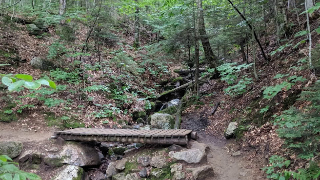 Franconia Notch State Park by null
