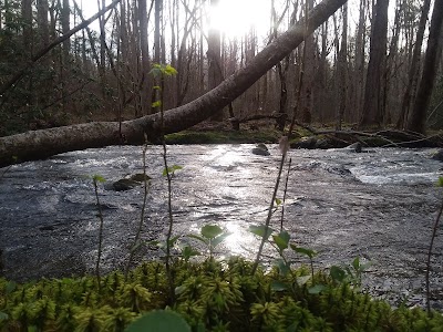 Cosby Ranger Station