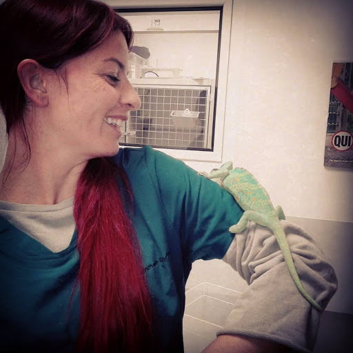Dr.ssa Carla Genovese - veterinario freelance animali esotici e non convenzionali Gallery - Italy