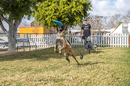 Grand Pet Care Center