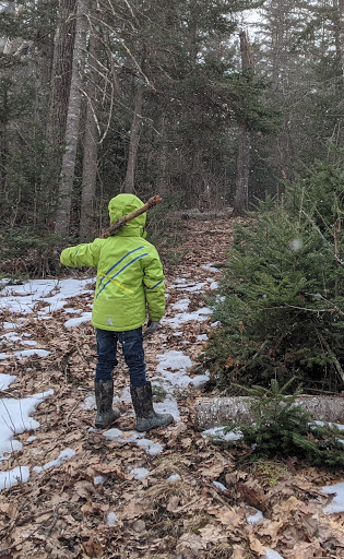 Snow Natural Area - Blue Hill Heritage Trust - Thumbnail