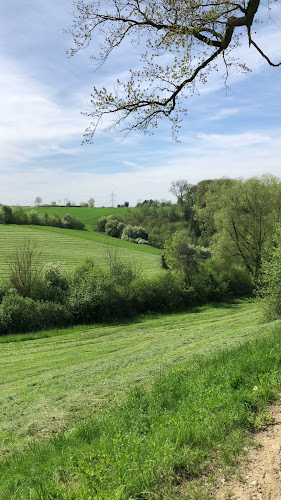 Kommentare und Rezensionen über Rothallenweiher