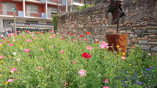 Gioielleria Ossola - Thumbnail