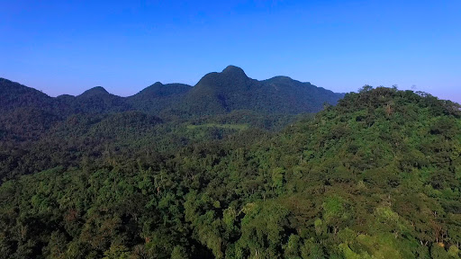 Reserva Ecologica San Felipe II