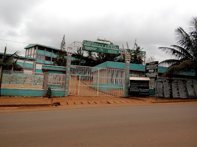 Photos of Petou