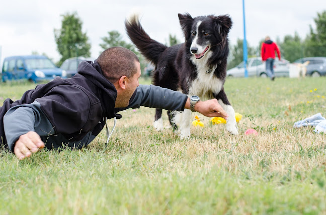 Club des Chiens Actifs Columérins (CCAC)