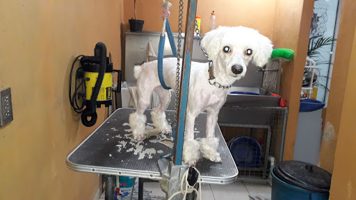 Clinica Veterinaria Animal Paradise