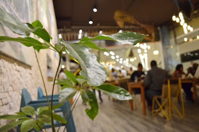 Photos of MAMBO ITALIA GARDEN CITY