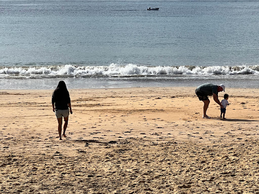 Terrigal Surf Life Saving Club - Thumbnail