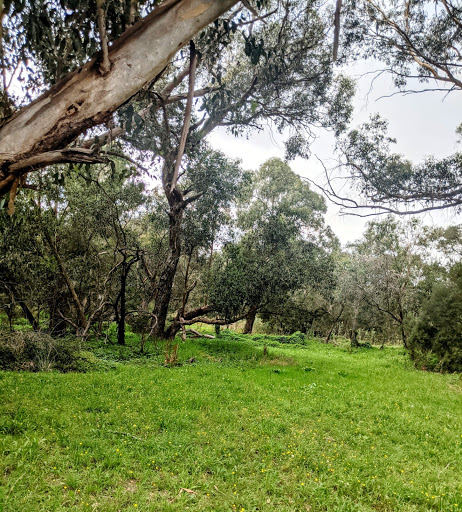 Blind Creek Trail - Thumbnail
