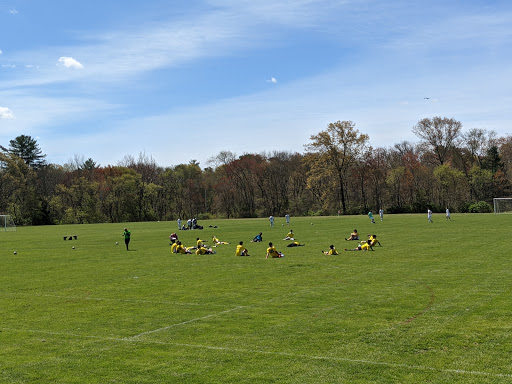 Milot Field - Visual