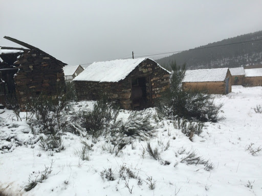 Las casinas - Visual