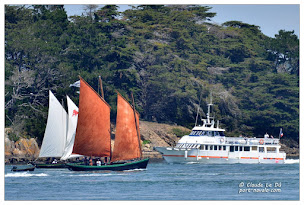 Photo n°27 de VEDETTES L'ANGELUS TOUR DU GOLFE DU MORBIHAN à Locmariaquer (Agence de voyages)