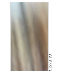 Photo n°5 de Valessio - Coiffeur Paris 9 à Paris (Salon de coiffure)