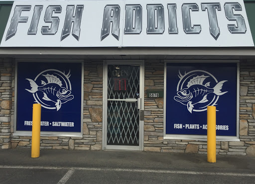 Fish Addicts - Visual