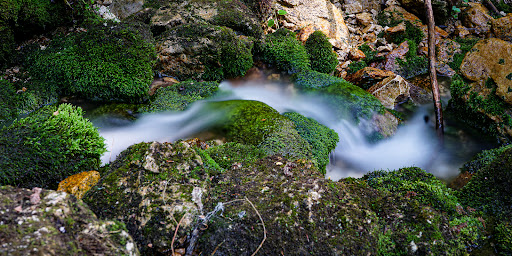 Wasserloch - Visual