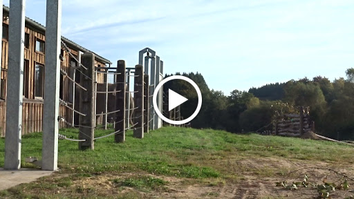 Photo de Elephant Haven European Elephant Sanctuary (EHEES) à Bussière-Galant (87230)