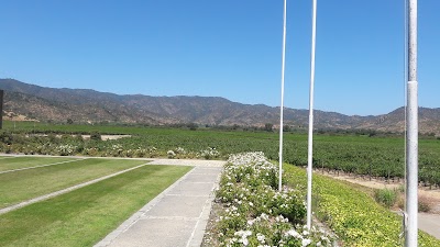 Photos of Vi&ntilde;a Ventisquero