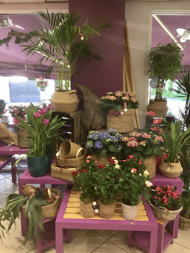 Fleuriste BeBloom (Saint Jean de la ruelle) - Thumbnail
