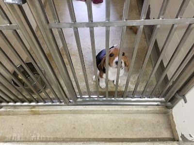 Tri-County Animal Shelter